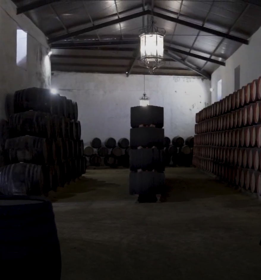 /wp-content/themes/bodegas-los-patios/assets/img/bodega-1.png