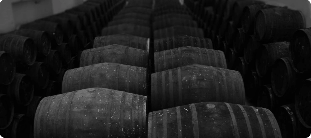 /wp-content/themes/bodegas-los-patios/assets/img/bodega-2.webp