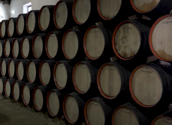 /wp-content/themes/bodegas-los-patios/assets/img/tour-1.png